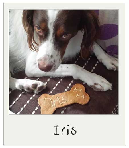 Iris - biscuit personnalisés